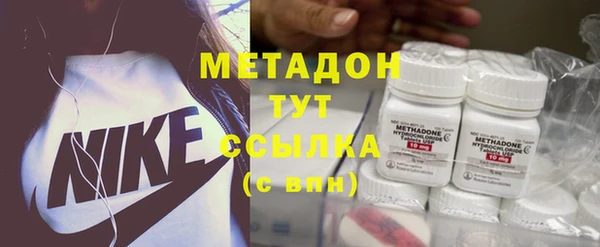 стаф Алзамай