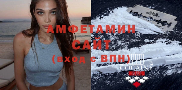 стаф Алзамай