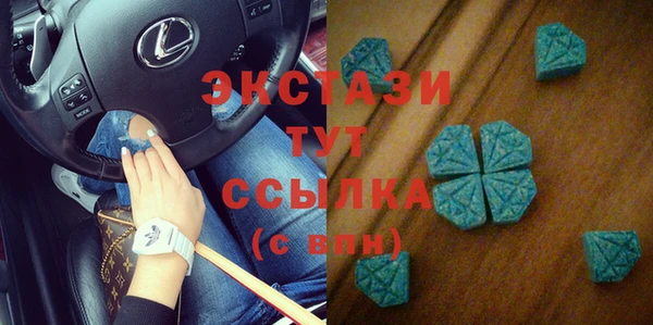 стаф Алзамай