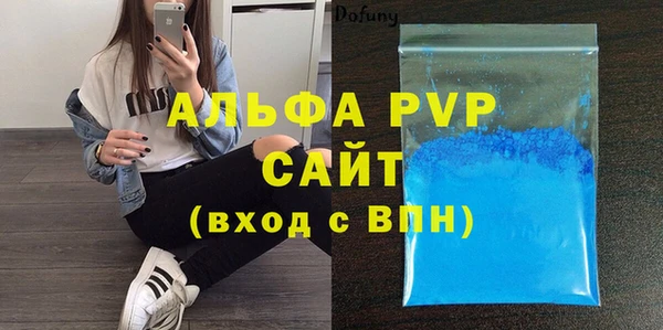 стаф Алзамай