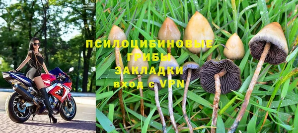 прущие крисы Алексин