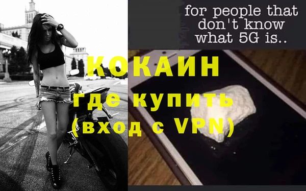 стаф Алзамай